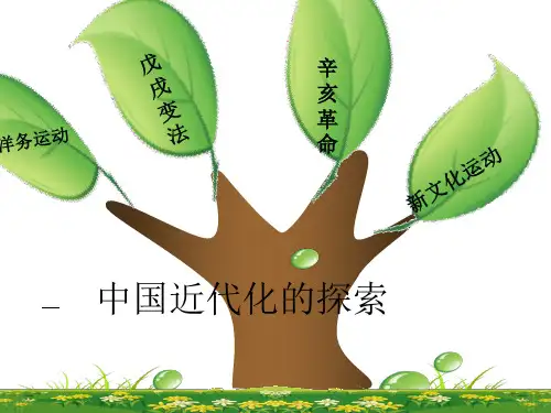 近代化的探索PPT课件
