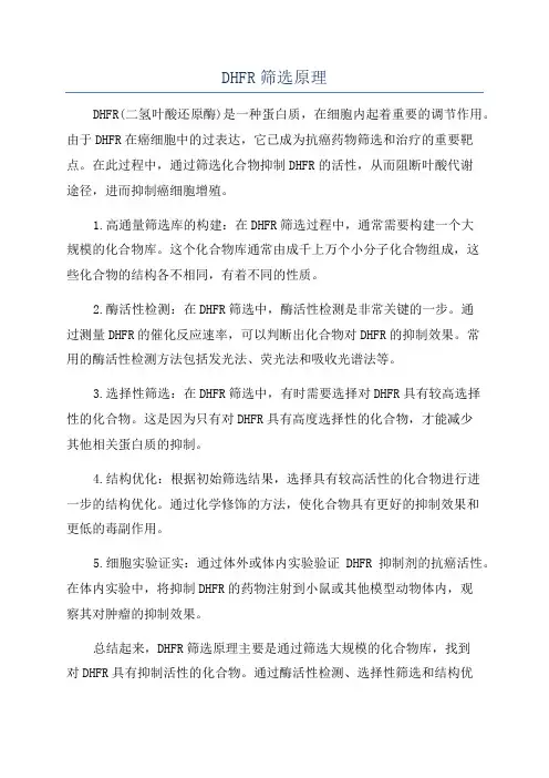 DHFR筛选原理