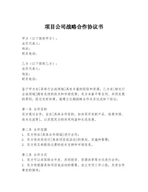 项目公司战略合作协议书