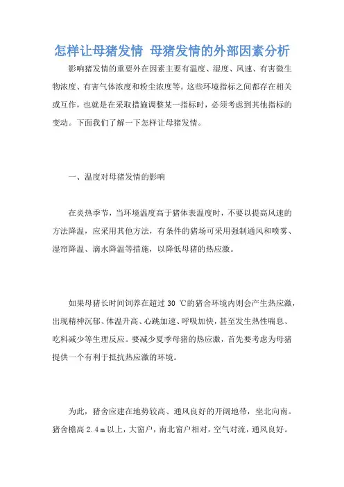 怎样让母猪发情 母猪发情的外部因素分析