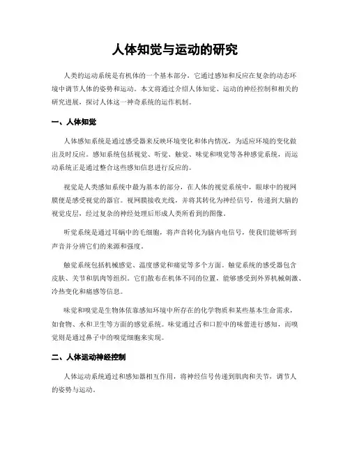 人体知觉与运动的研究