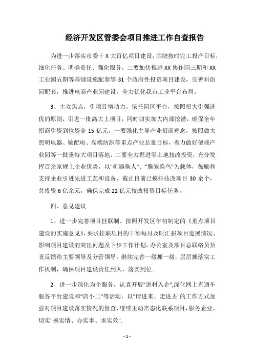 2019经济开发区管委会项目推进工作自查报告