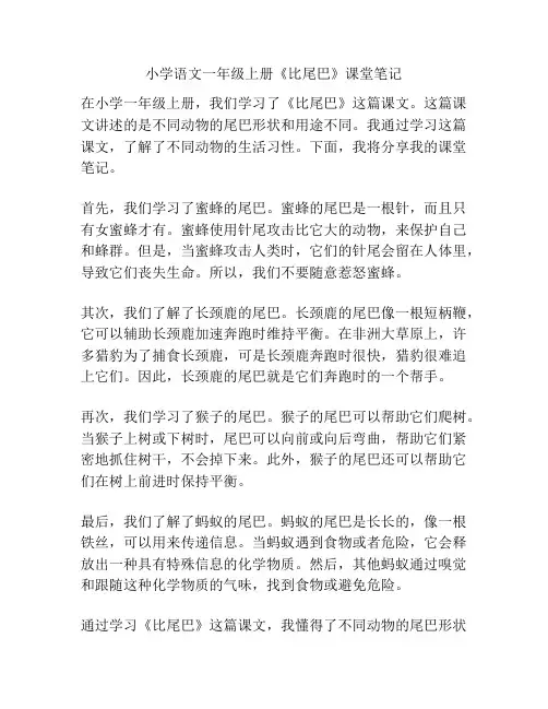 小学语文一年级上册《比尾巴》课堂笔记