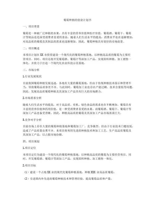 葡萄种植的创业计划书