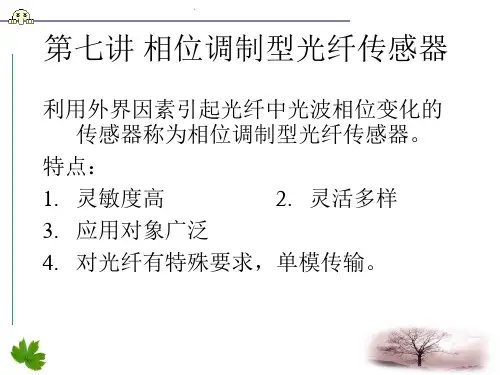 相位调制型光纤传感器