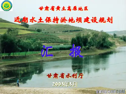 淤地坝规划(最终2)