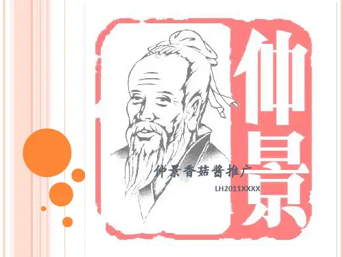 仲景香菇酱推广
