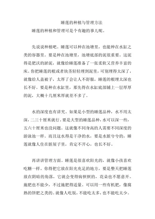睡莲的种植与管理方法