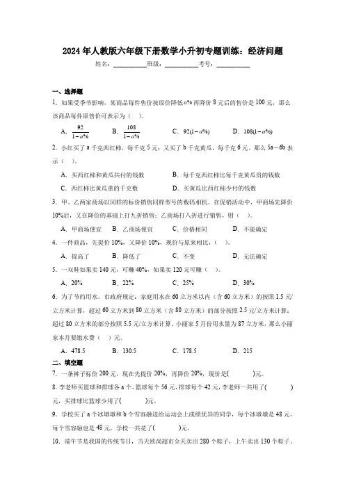 2024年人教版六年级下册数学小升初专题训练：经济问题
