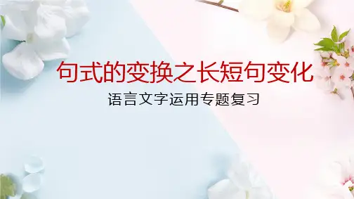 2025届高考专题复习：句式变化之长短句