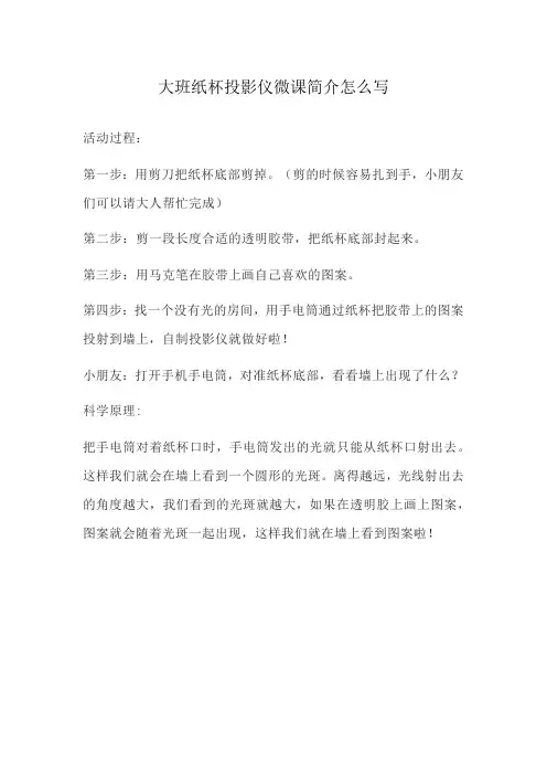 大班纸杯投影仪微课简介怎么写