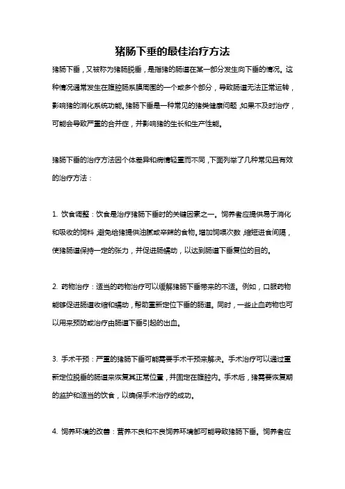 猪肠下垂的最佳治疗方法