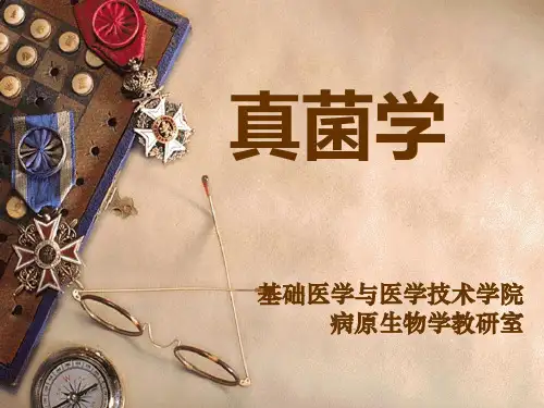 真菌学概述