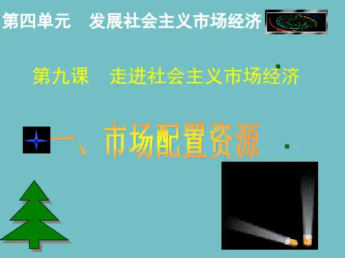 高一政治必修1课件：第四单元  发展社会主义市场经济