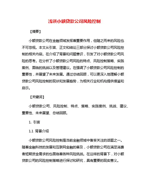 浅谈小额贷款公司风险控制