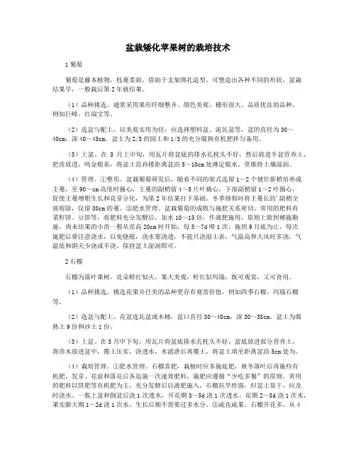 盆栽矮化苹果树的栽培技术