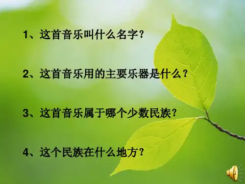 快乐的泼水节PPT
