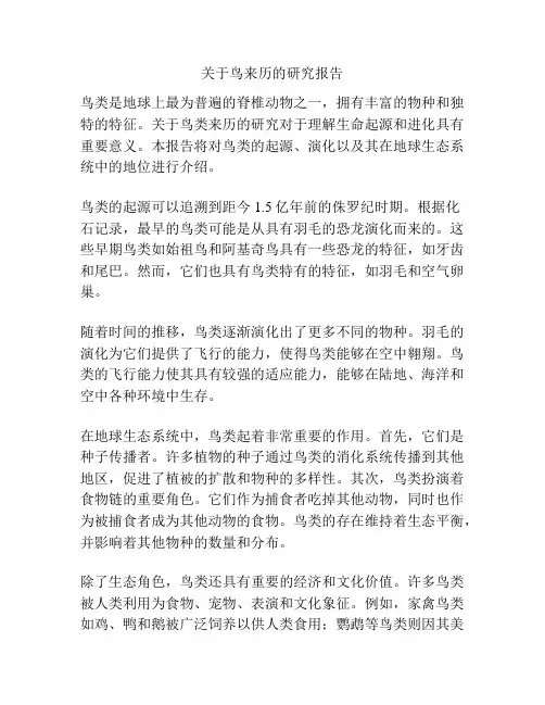 关于鸟来历的研究报告
