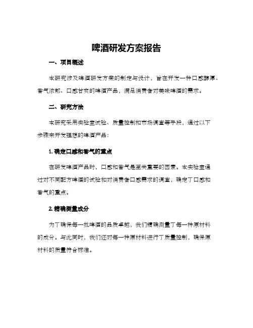 啤酒研发方案报告