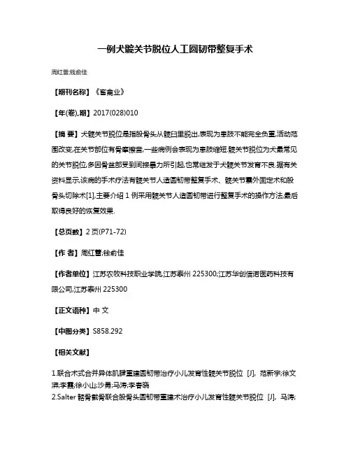 一例犬髋关节脱位人工圆韧带整复手术