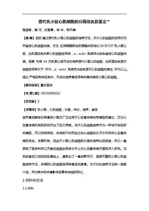原代乳小鼠心肌细胞的分离培养及鉴定