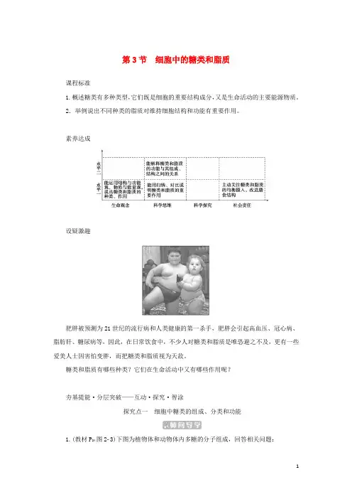 2023新教材高中生物第2章组成细胞的分子第3节细胞中的糖类和脂质课堂互动探究案新人教版必修1
