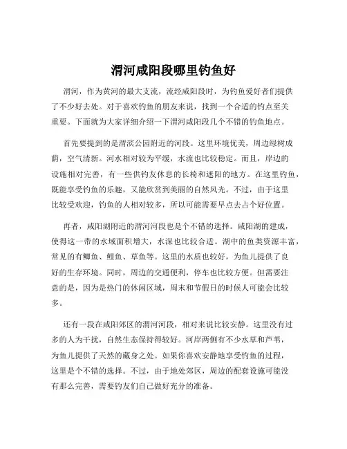 渭河咸阳段哪里钓鱼好