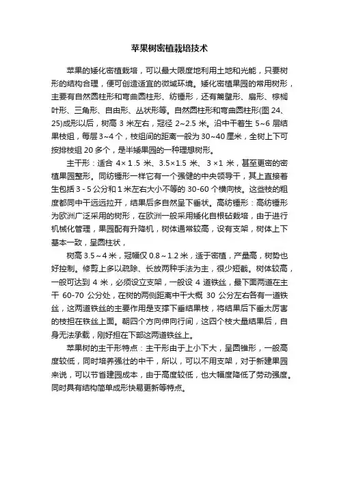 苹果树密植栽培技术