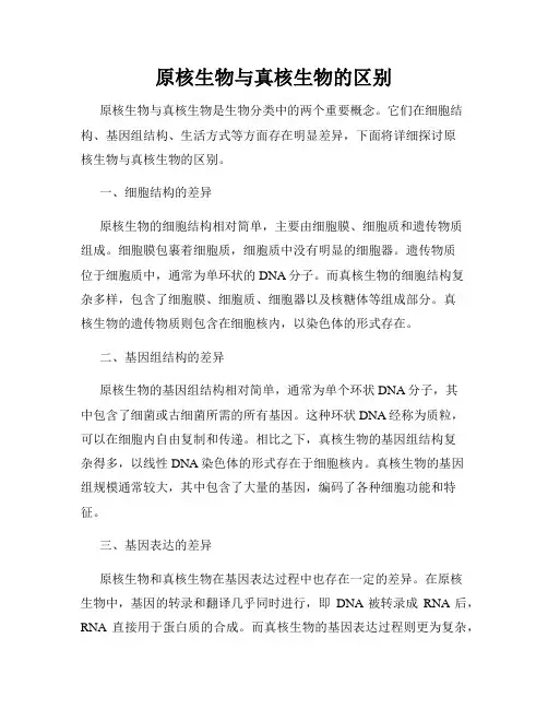 原核生物与真核生物的区别