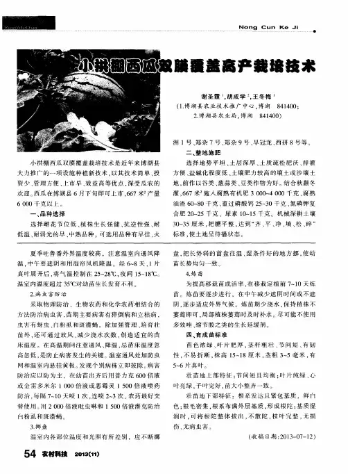 小拱棚西瓜双膜覆盖高产栽培技术