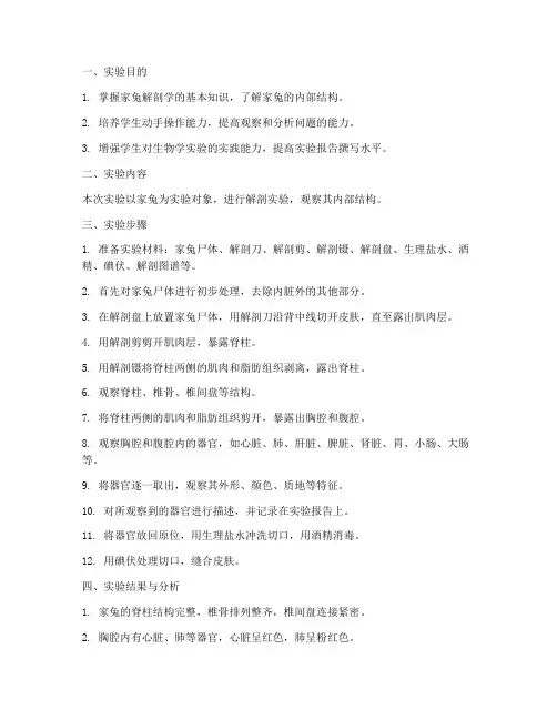 家兔解剖课实训报告