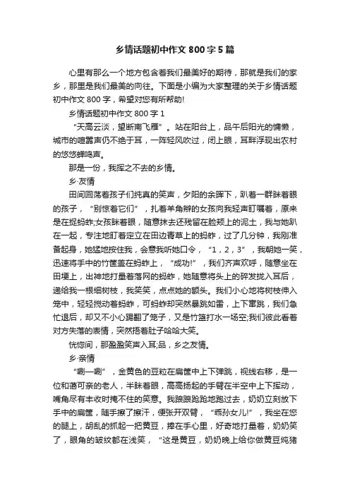 乡情话题初中作文800字5篇