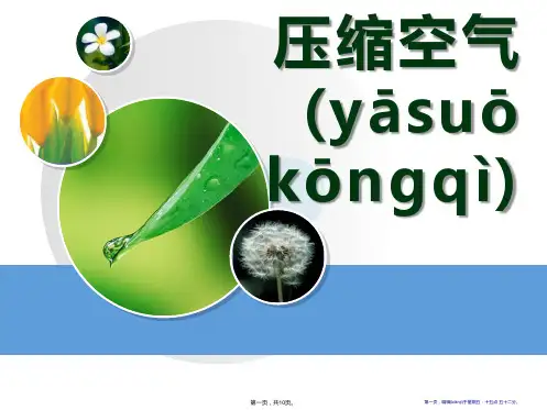 《压缩空气》空气PPT课件