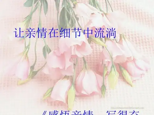 初中作文指导：让亲情在细节中流淌——《感悟亲情,写得充实》作文训练PPT课件
