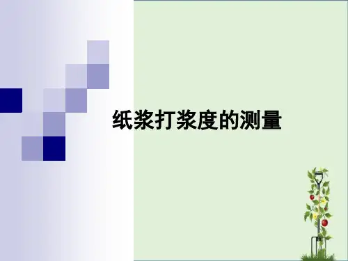 2.7纸浆打浆度的测量.