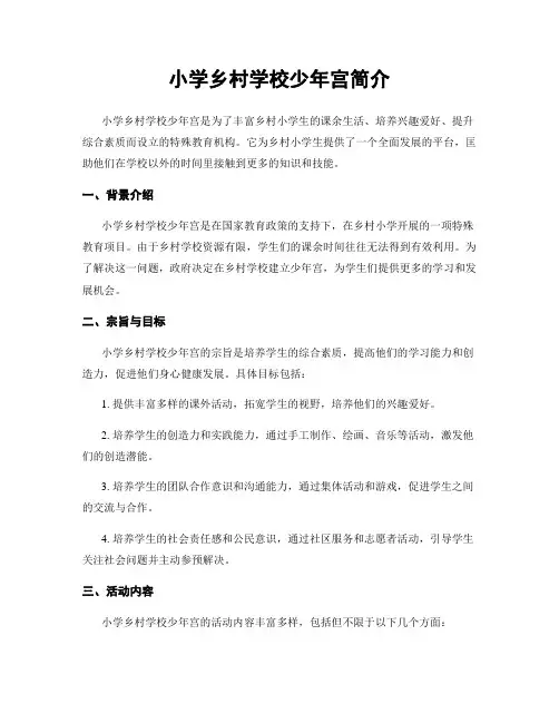 小学乡村学校少年宫简介