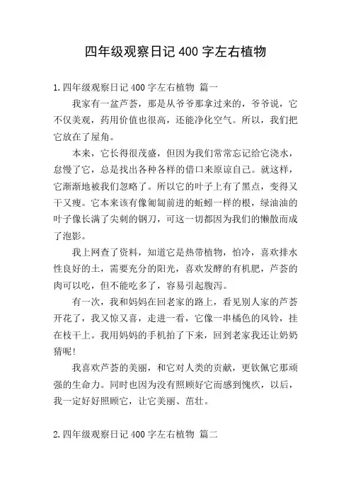 四年级观察日记400字左右植物