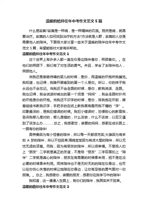温暖的陪伴往年中考作文范文5篇