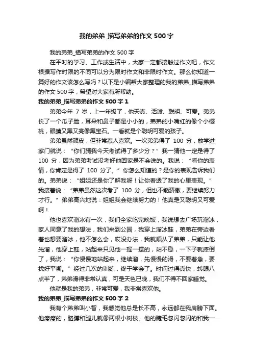 我的弟弟_描写弟弟的作文500字