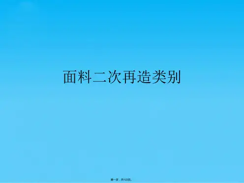 面料二次再造类别(共123张PPT)