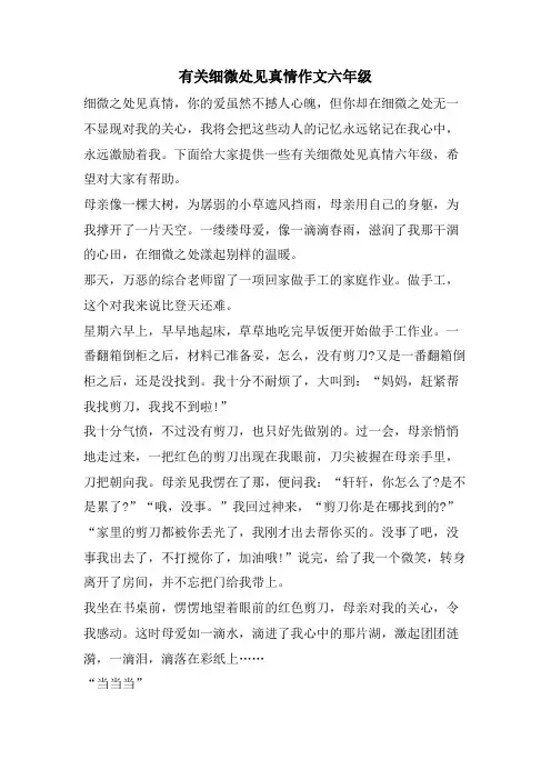 有关细微处见真情作文六年级