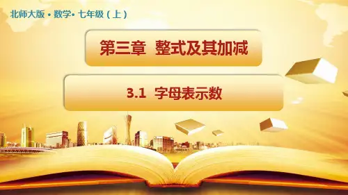 北师大版七年级数学上册3.1 字母表示数课件(共48张ppt)
