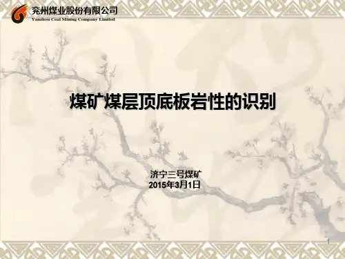 区队技术人员培训煤矿煤层顶底板岩性的识别..PPT课件