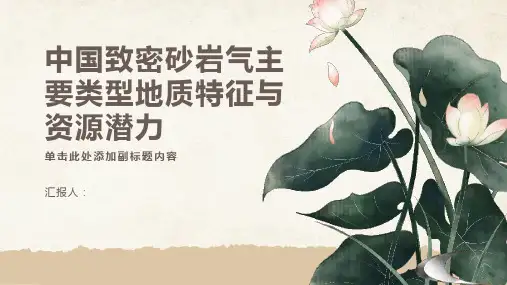 中国致密砂岩气主要类型地质特征与资源潜力