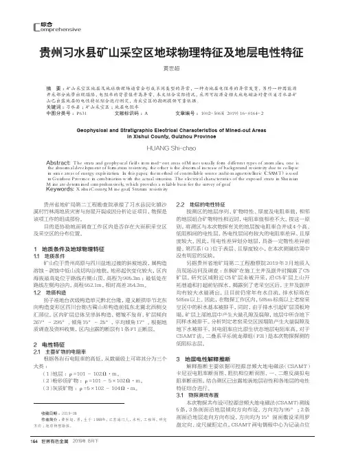 贵州习水县矿山采空区地球物理特征及地层电性特征