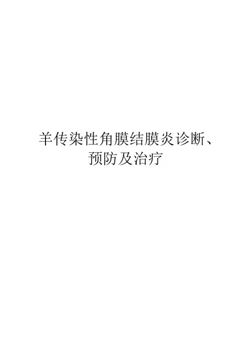 羊传染性角膜结膜炎诊断、预防及治疗