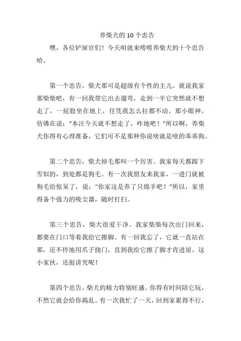 养柴犬的10个忠告