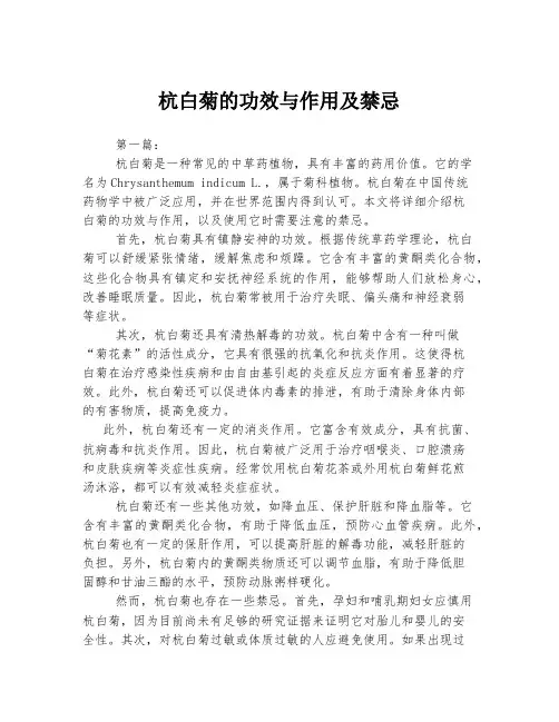 杭白菊的功效与作用及禁忌