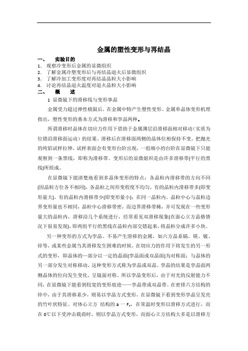 塑性变形与再结晶课程实验