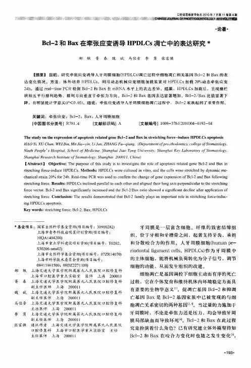 Bcl-2和Bax在牵张应变诱导HPDLCs凋亡中的表达研究